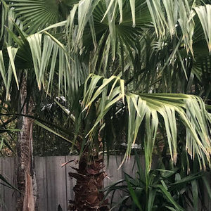 Meet your Posher, Eva